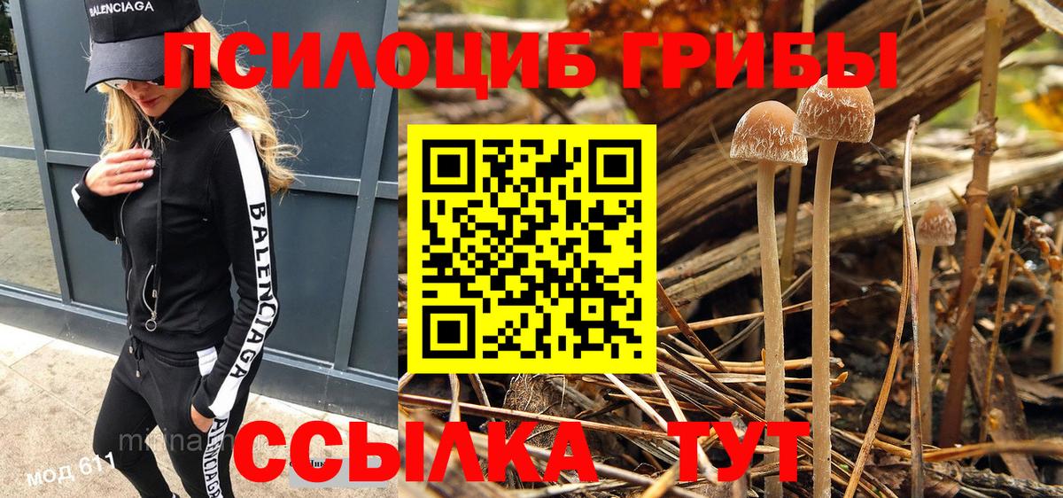 Луга  Псилоцибиновые грибы ЛСД  Вход с VPN 