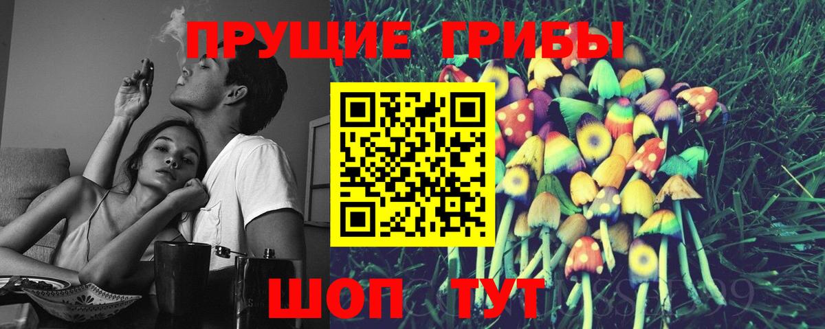 Галлюциногенные грибы мицелий Луга